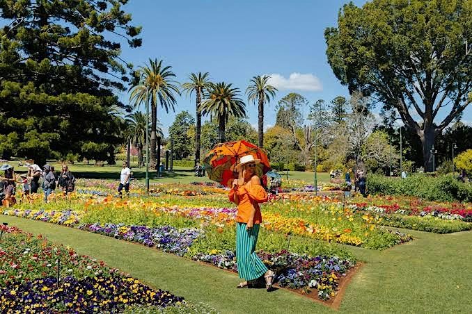 Toowoomba Spring Trip