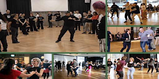 Best of the Best West Coast Swing Beginner Crash Course