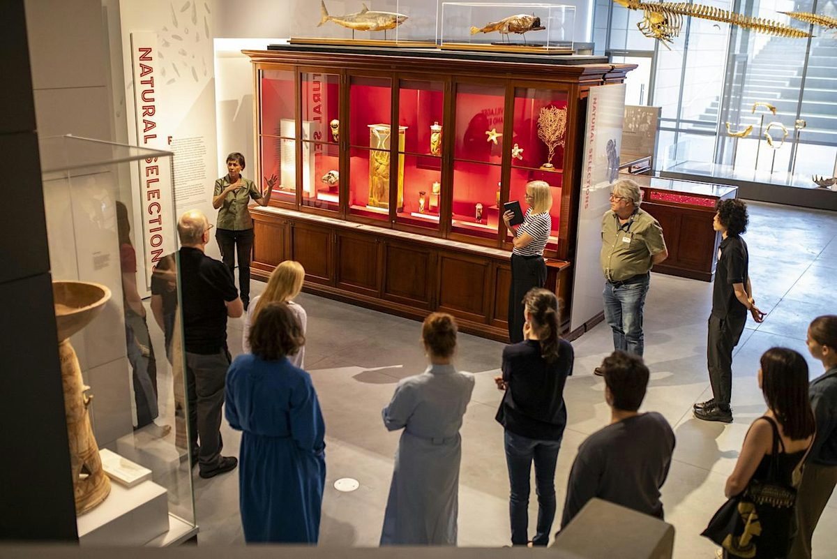 Research encounters: Museum exhibits through a new lens