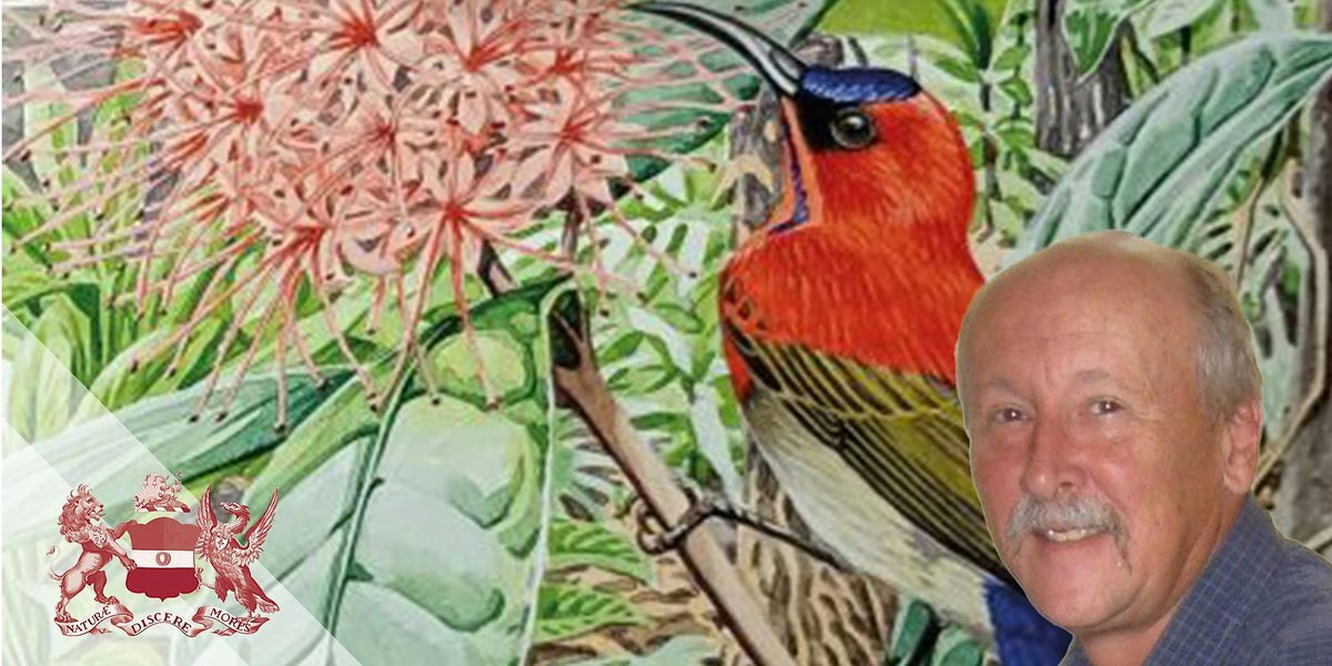 An Evening with the Sunbirds of the World