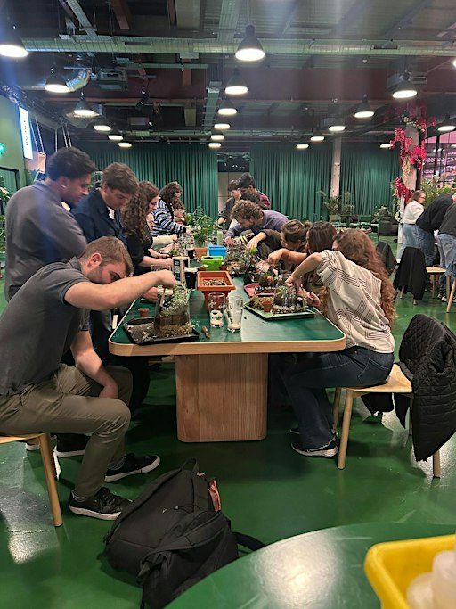 Terrarium Building Workshops 2026