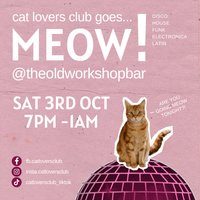 Cat Lovers Club goes... MEOW! At the Old Workshop