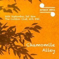 Between Notes - Chamomile Alley