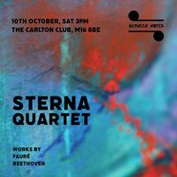 Between Notes - Sterna Quartet