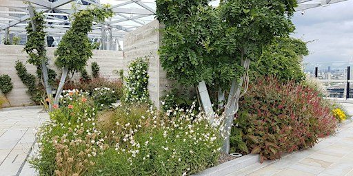 FIRE and WATER: Gardens around the Tower of London