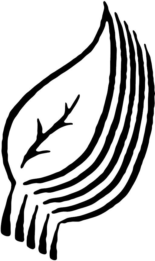 Inspire Poetry Festival 2026 - Five Leaves New Poetry: The First Three Years
