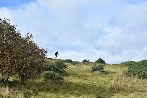 Nordic Walking