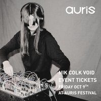 Nik Colk Void at Auris Festival
