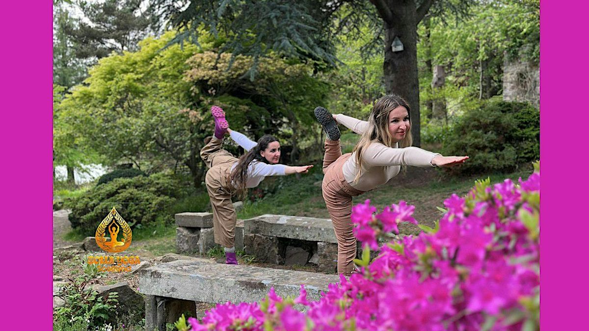 Evening Hatha Yoga - Leith, Edinburgh