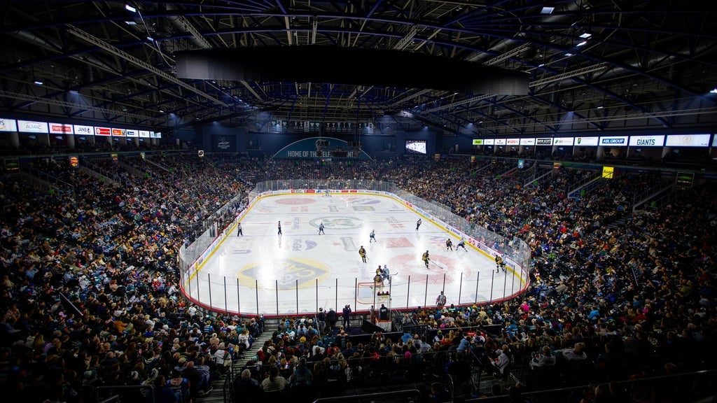 Belfast Giants v Glasgow Clan