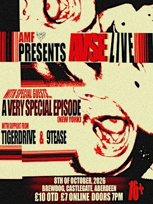 AMFdiy PRESENT: AVSE LIVE!