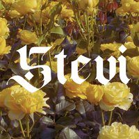 Music for Stevi