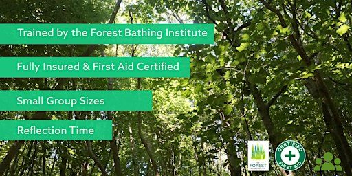 Forest Bathing+ in Bevendean Woods–Slow Down, Breathe Deeply, Feel Restored