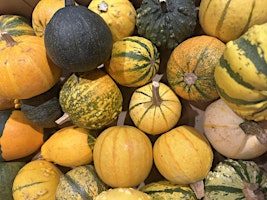 Halloween Floral Pumpkin Workshop
