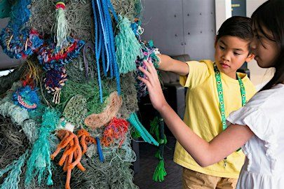 Sensory-Friendly Days